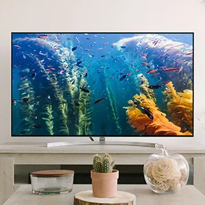 TV, DVD 및 비디오