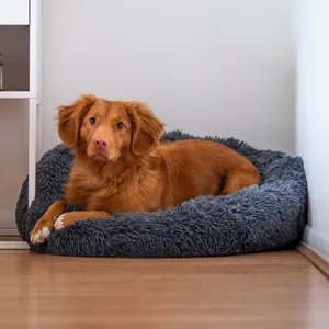 일반 반려동물 용품